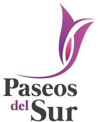 logo-paseos-del-sur-casas-javer