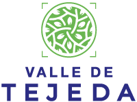 logo-valle-de-tejeda-casas-javer